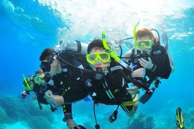 Diving (For Beginner diver) - Pattaya - The Experience Provider: Thai Holidays