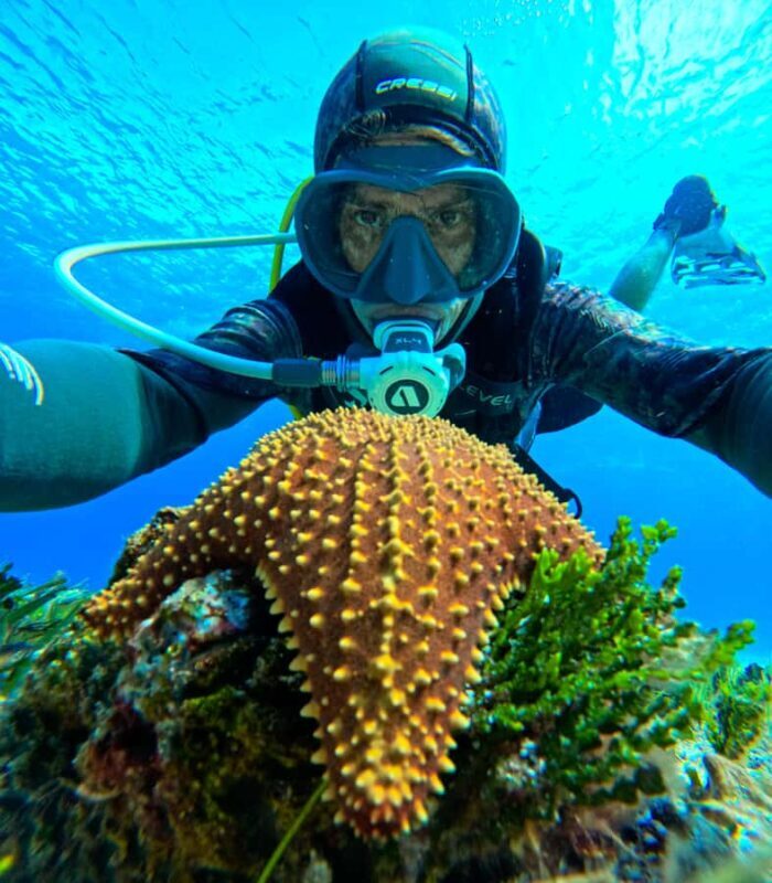 Diving for Beginners in Cozumel: Your First VIP Experience - Why This Tour Works Well