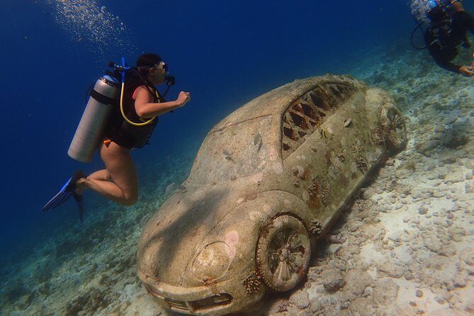 Diving in Cancun for Certified Divers | 2 Dives | All Inclusive - What Makes This Tour Special?