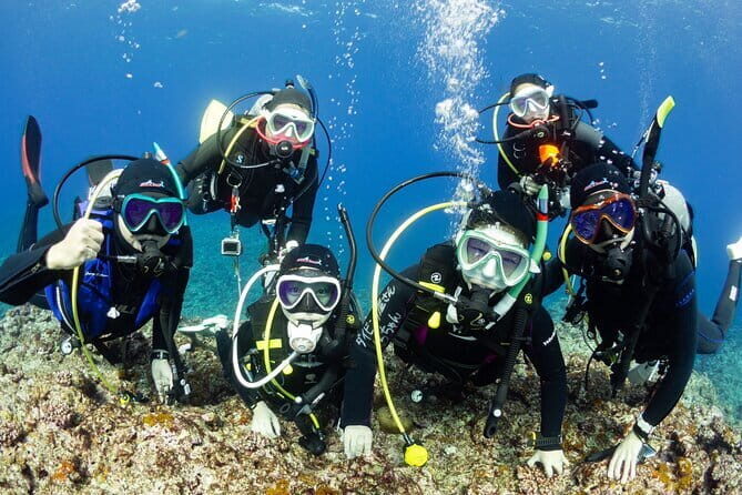 Diving in Kansai, Japan for License Holders - An In-Depth Look at the Osaka Diving Tour