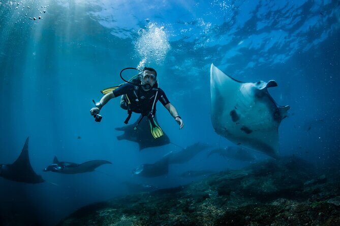 Diving in Nusa Penida - An Honest Breakdown of the Tour Experience