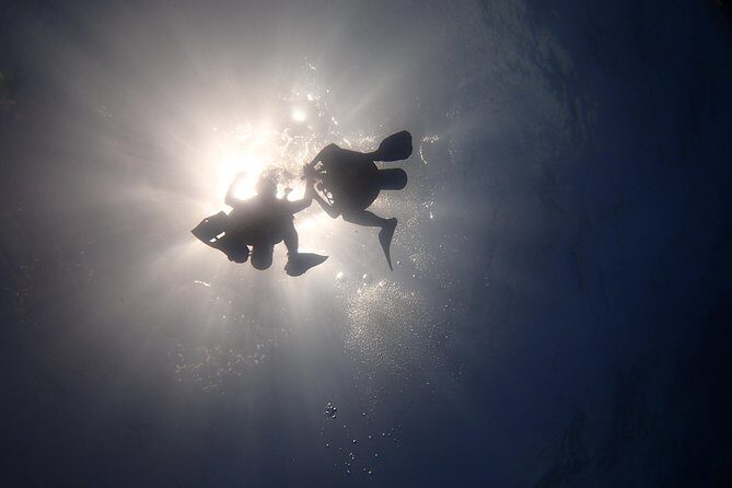 Diving in the Mexican Caribbean for Beginners | 2 Tanks 2 Dives | All Inclusive - Authentic Insights from Reviews