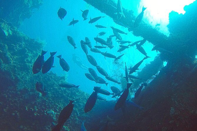 Diving in Tulamben - Key Points