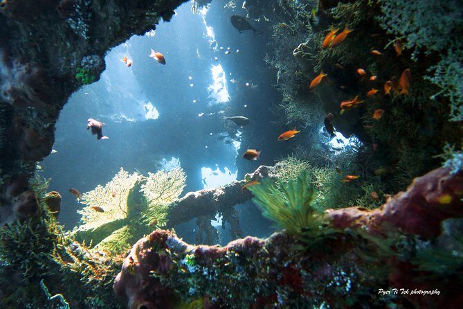 Diving in Tulamben - Marine Biodiversity & Underwater Highlights