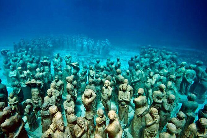 Diving + Muse - A Closer Look at the Tour Experience