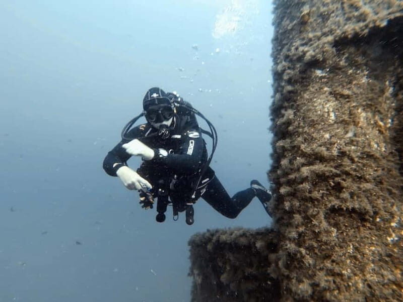 Diving - Is It Worth It? Analyzing the Value