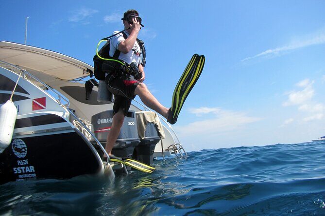 Diving Tour for Certified Divers: Sail Rock or Koh Tao - An In-Depth Look at the Tour Experience