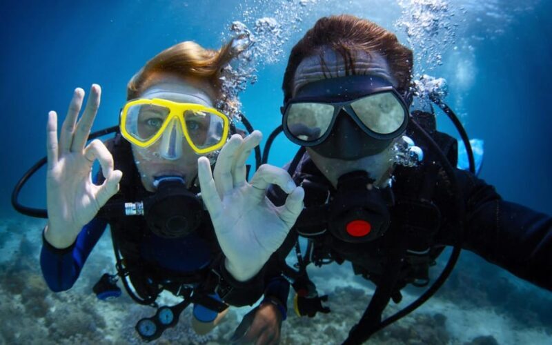 Diving Tour from Alanya & Side with Lunch - 2 Dives Included - Who Is This Tour Best For?