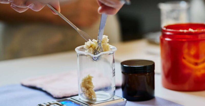 DIY organic plants cosmetics Workshop - The Sum Up
