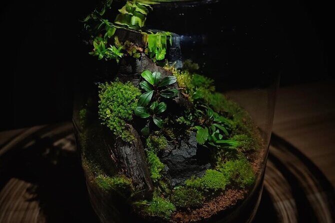 DIY Terrarium Workshop in Hua-Hin - Authentic Insights from Past Participants