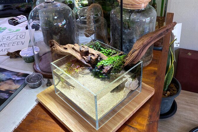 DIY Terrarium Workshop in Hua-Hin - FAQ