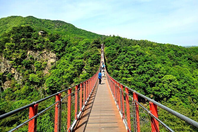 DMZ Tour from Seoul  Optional Suspension Bridge Experience - What Travelers Love About This Tour