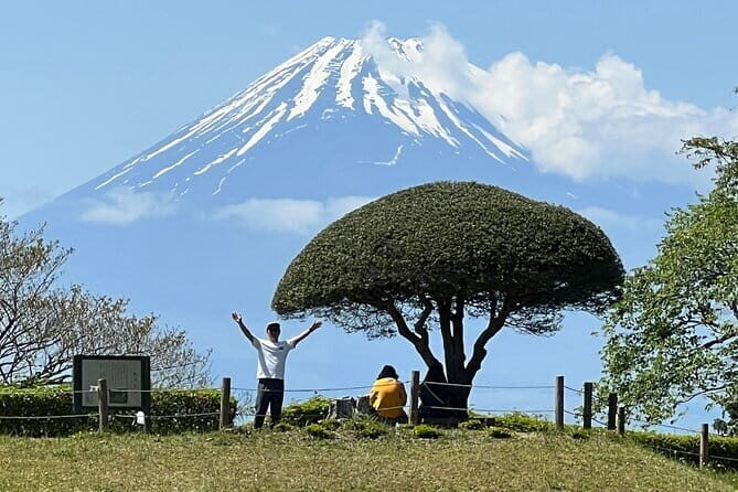 Do You Want to Try Skywalk? A New Way of Enjoying Hakone! - Who Would Love This Tour?