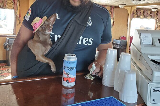 Dog Day of Summer Harbor Cruise in Boston - Why This Tour Works