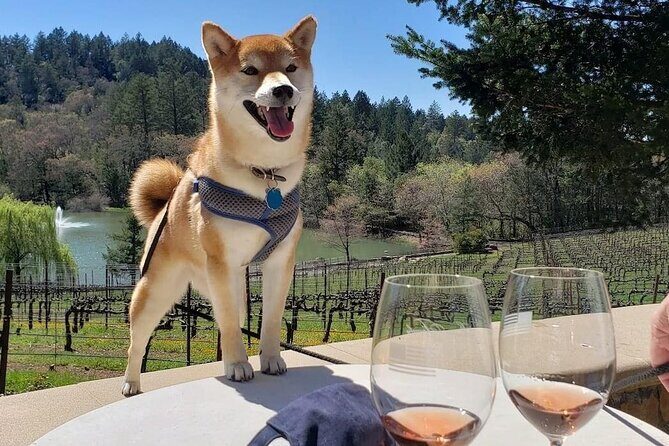 Dog Friendly Wine Tour in Private Luxury SUV - Why This Tour Stands Out
