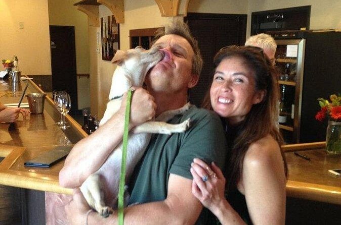 Dog Friendly Wine Tour in Private Luxury SUV - The Sum Up