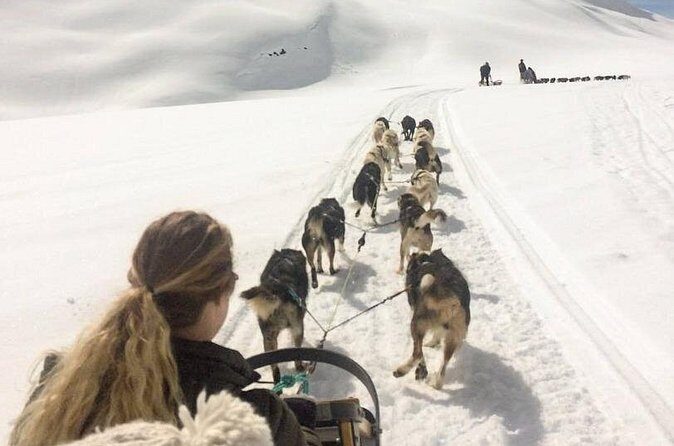Dog Sledding and Animal Encounters Tour from Anchorage - Final Thoughts