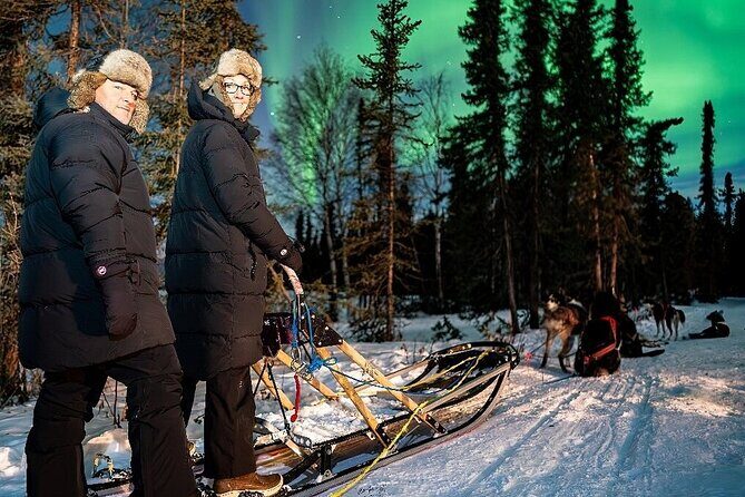 Dog Sledding and Northern Lights Combo Night - Who Will Enjoy This Tour?
