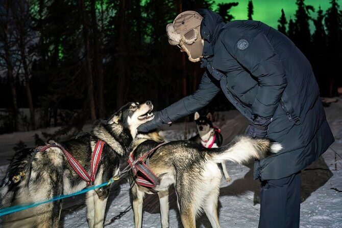 Dog Sledding and Northern Lights Combo Night - FAQ