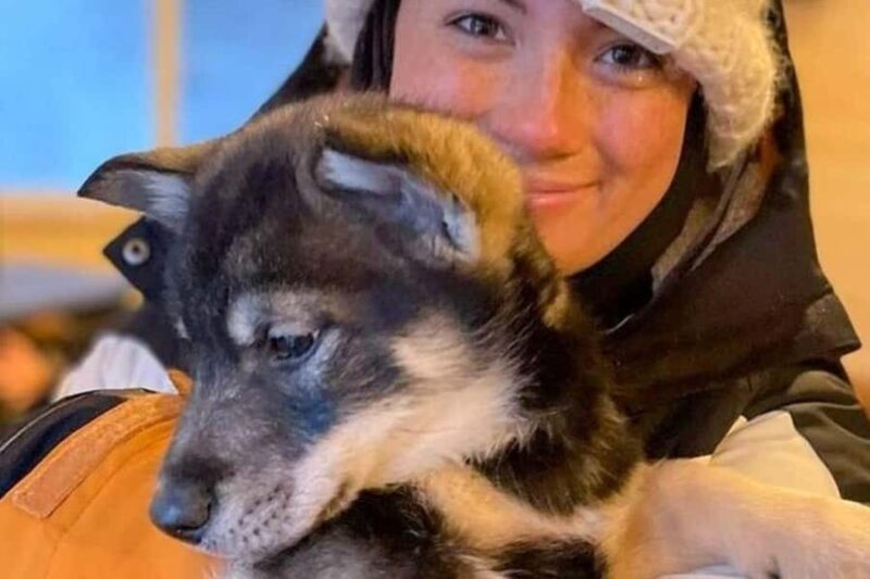 Dog Sledding & Animal Adventures  Anchorage Pickup - Key Points