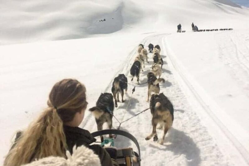 Dog Sledding & Animal Adventures  Anchorage Pickup - FAQ
