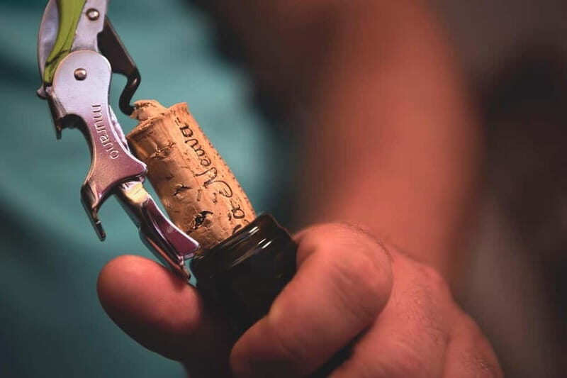 Dogliani: Tasting of 7 Wines in the Heart of the Langhe - Who Will Love This Tour?