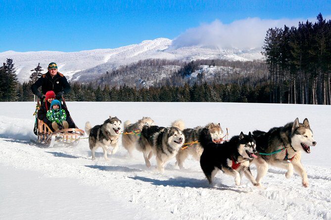 Dogsled Adventure in Mont-Tremblant - An In-Depth Look at the Dogsled Adventure