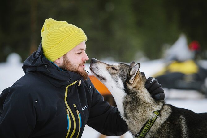 Dogsled Adventure Kiruna - Who Should Consider This Tour?