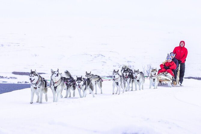 Dogsledding, near Akureyri - Authentic Encounters and Guest Experiences