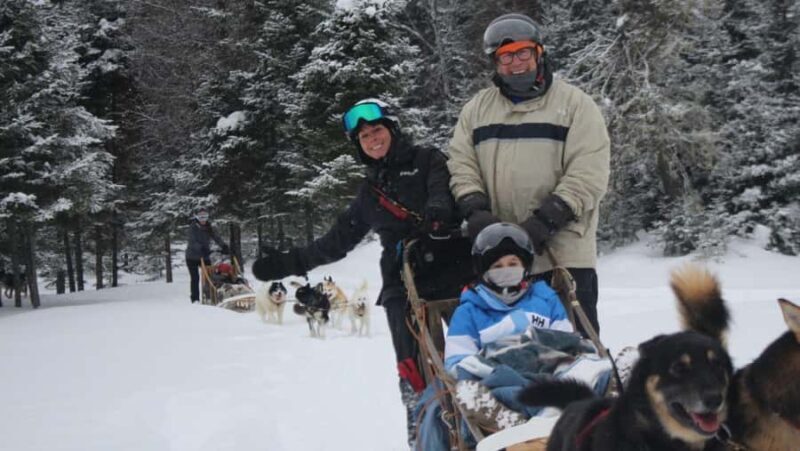 Dogsledding Nordic Adventure near Mont-Tremblant - Introduction to the Dogsledding Experience