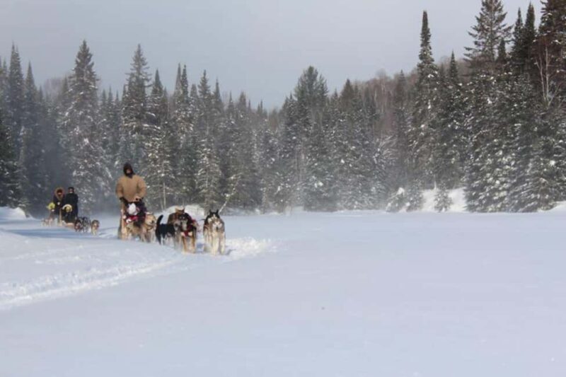 Dogsledding Nordic Adventure near Mont-Tremblant - Who Should Consider This Experience?