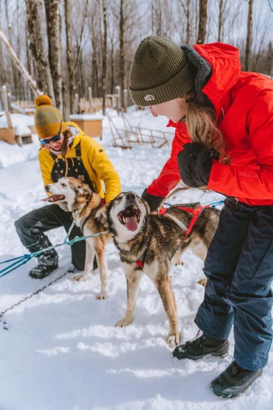 Dogsledding Upper Laurentians near Mont-Tremblant - Key Points