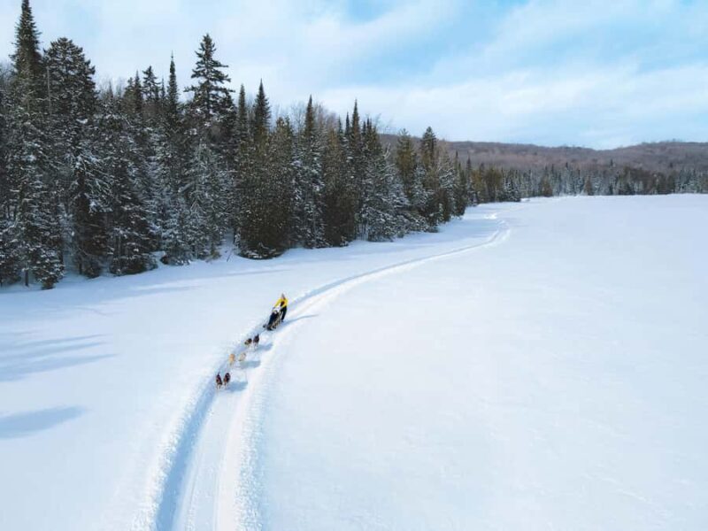 Dogsledding Upper Laurentians near Mont-Tremblant - Authenticity and Quality
