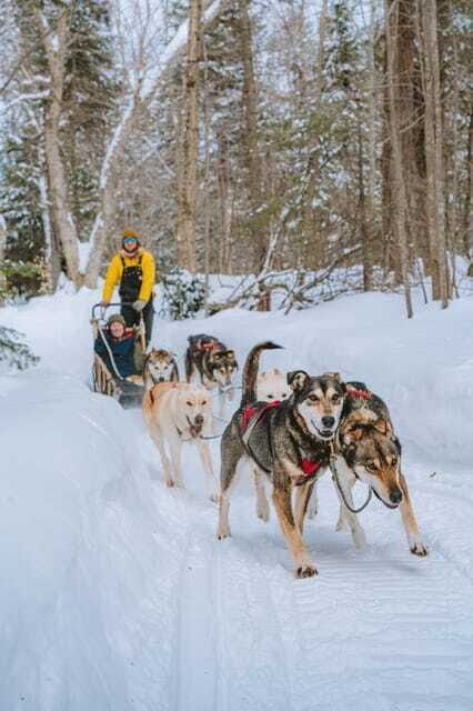 Dogsledding Upper Laurentians near Mont-Tremblant - Frequently Asked Questions