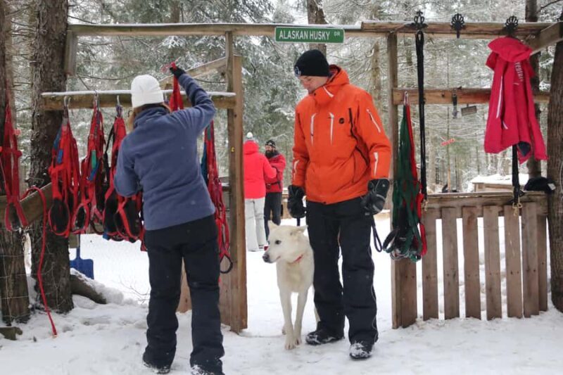 Dogsledding Valley Adventure near Mont-Tremblant - Key Points