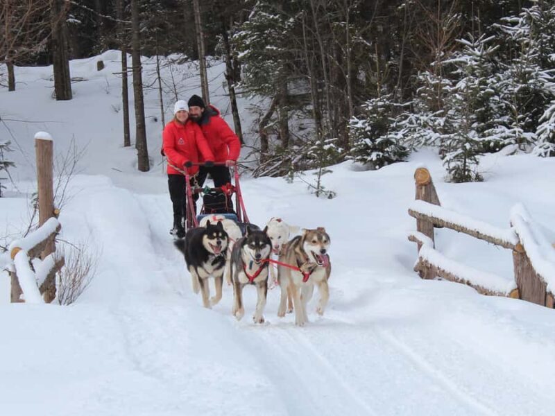 Dogsledding Valley Adventure near Mont-Tremblant - FAQ