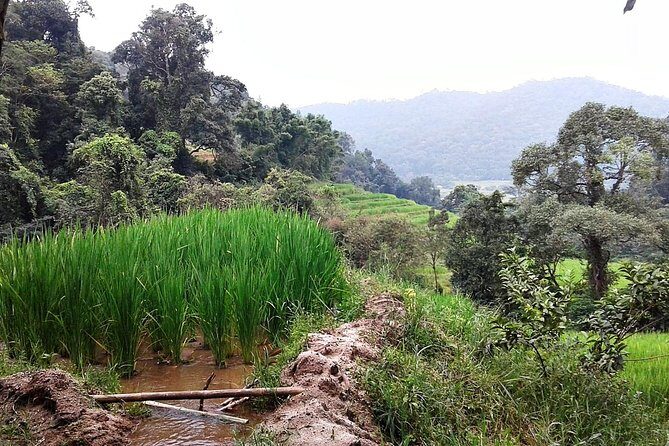 Doi Inthanon Day tour - The Sum Up