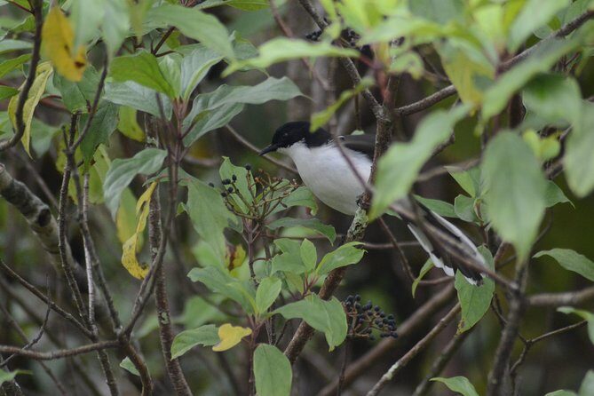Doi Inthanon Day tour - FAQ