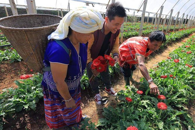 Doi Inthanon Day Trip from Chiang Mai including Karen Hill Tribe & Twin Pagodas - A Deep Dive into What You Can Expect