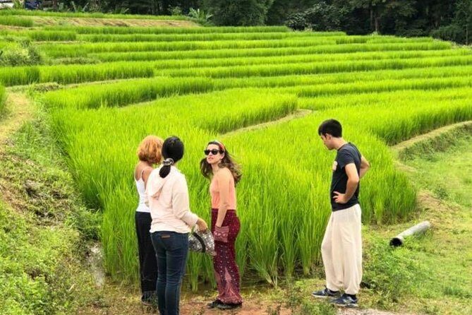 Doi Inthanon Day Trip:Twin Pagodas,Soft Hiking,Coffee Plantation - Final Thoughts