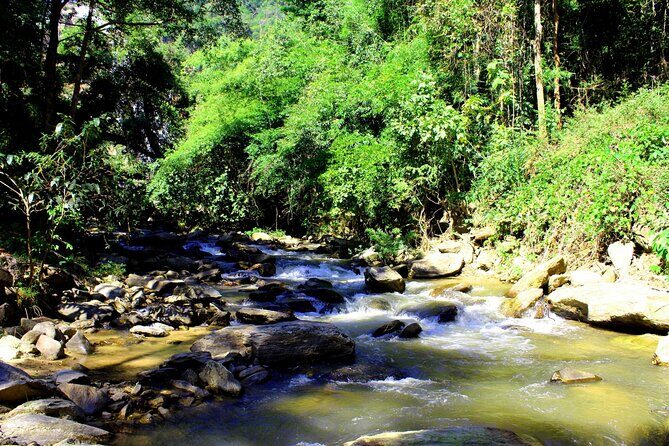 Doi Inthanon National Park and Kew Mae Pan Nature Trail Full Day Tour - Practical Details and Value