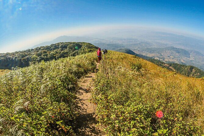 Doi Inthanon National Park and Kew Mae Pan Nature Trail Full Day Tour - Who Should Consider This Tour?