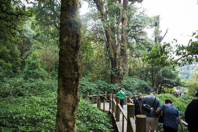 Doi Inthanon National Park Eco-Friendly Full Day Tour - Food and Refreshments