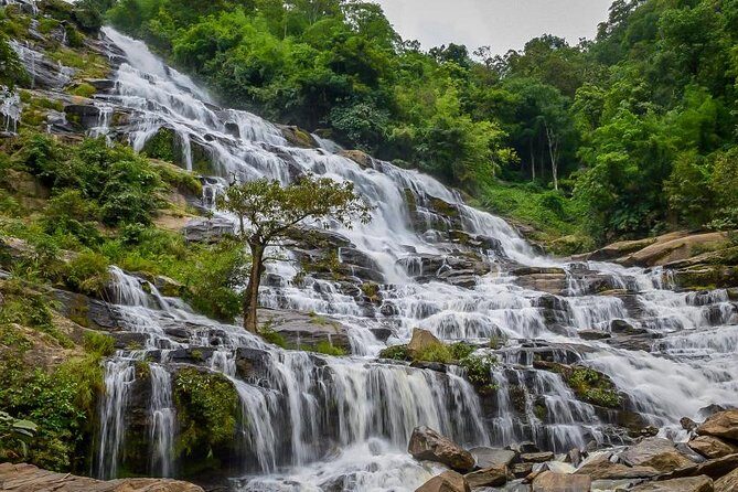 Doi Inthanon National Park Full Day Tour from Chiang Mai - The Sum Up: Who Is This Tour Best For?