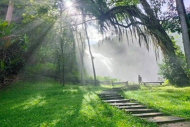 Doi Inthanon Private Trek & Lunch Tour from Chiang Mai - An In-Depth Look at the Doi Inthanon Private Tour