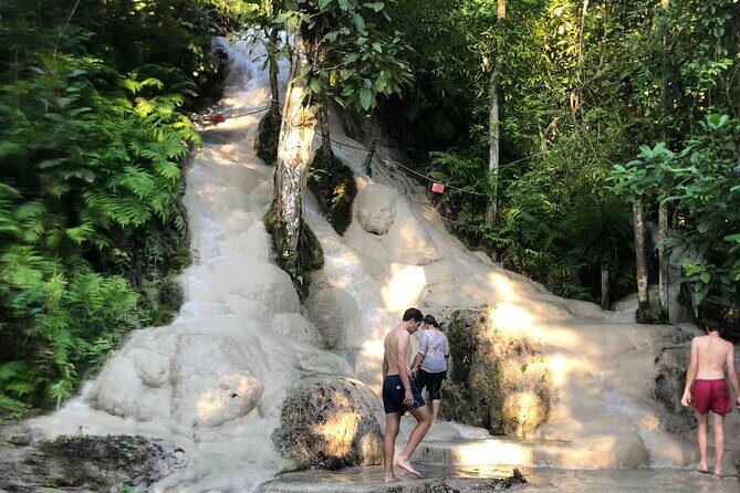 Doi Suthep Temple, Pha Lat Temple, Sticky Waterfall, Orchid farm - What the Reviews Say