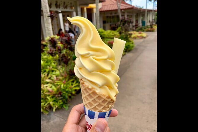 Dole Plantation, Ko Hana Rum and 3 Zipline Adventure Tour - Detailed Breakdown of the Itinerary