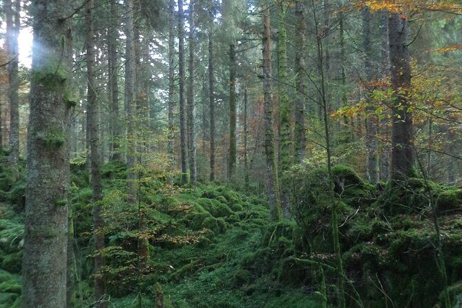 Dolomites Hiking tour - The Sum Up: Is This Tour Right for You?