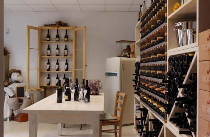 Dolomites Winery Tour and Wine Tasting near Belluno - An Introduction to the Experience