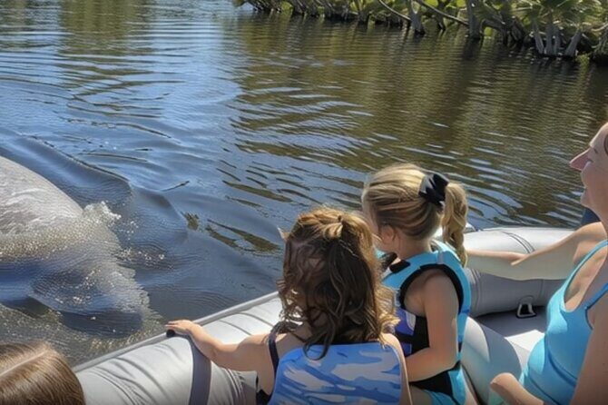 Dolphin and Manatee Boat Tour from Cocoa Beach and Port Canaveral - Key Points